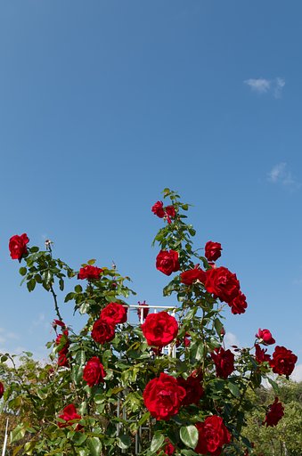 青空