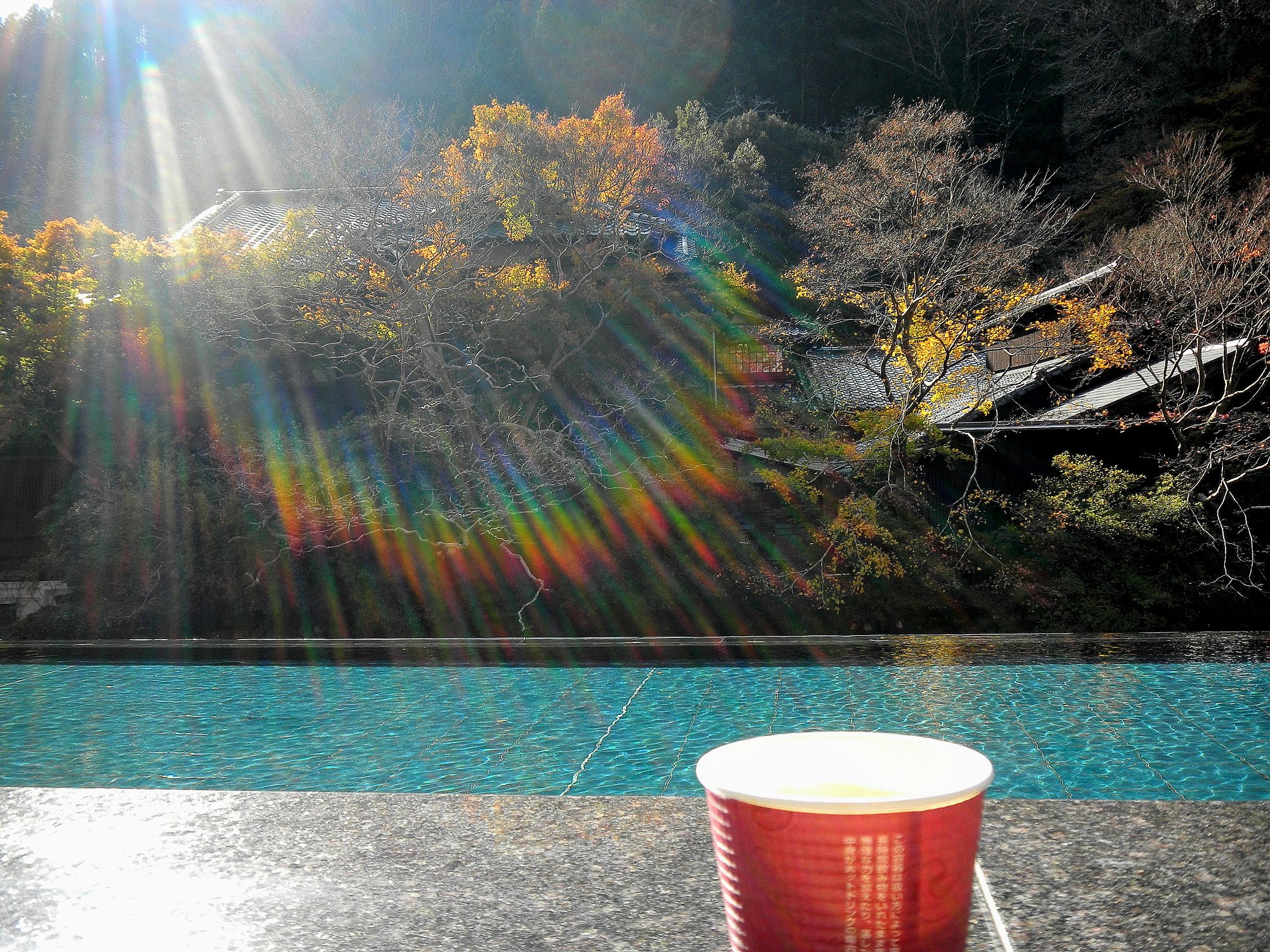 晩秋の紅葉　つづき