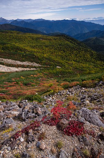 山の紅葉