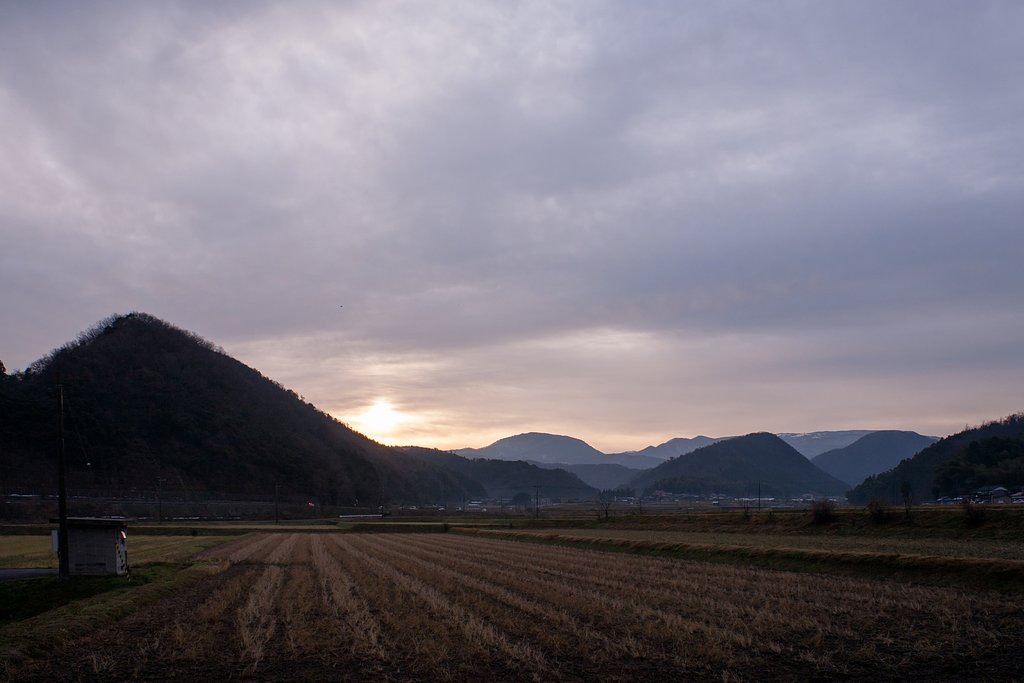 曇り空の朝です。