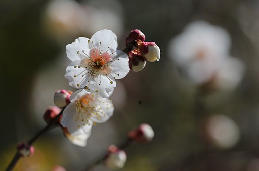 【春よ〜♪】 春、やっと来たぁ！