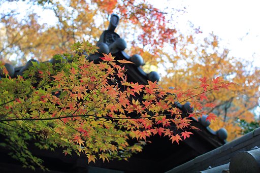 本日の鎌倉めぐり（１）・瑞泉寺