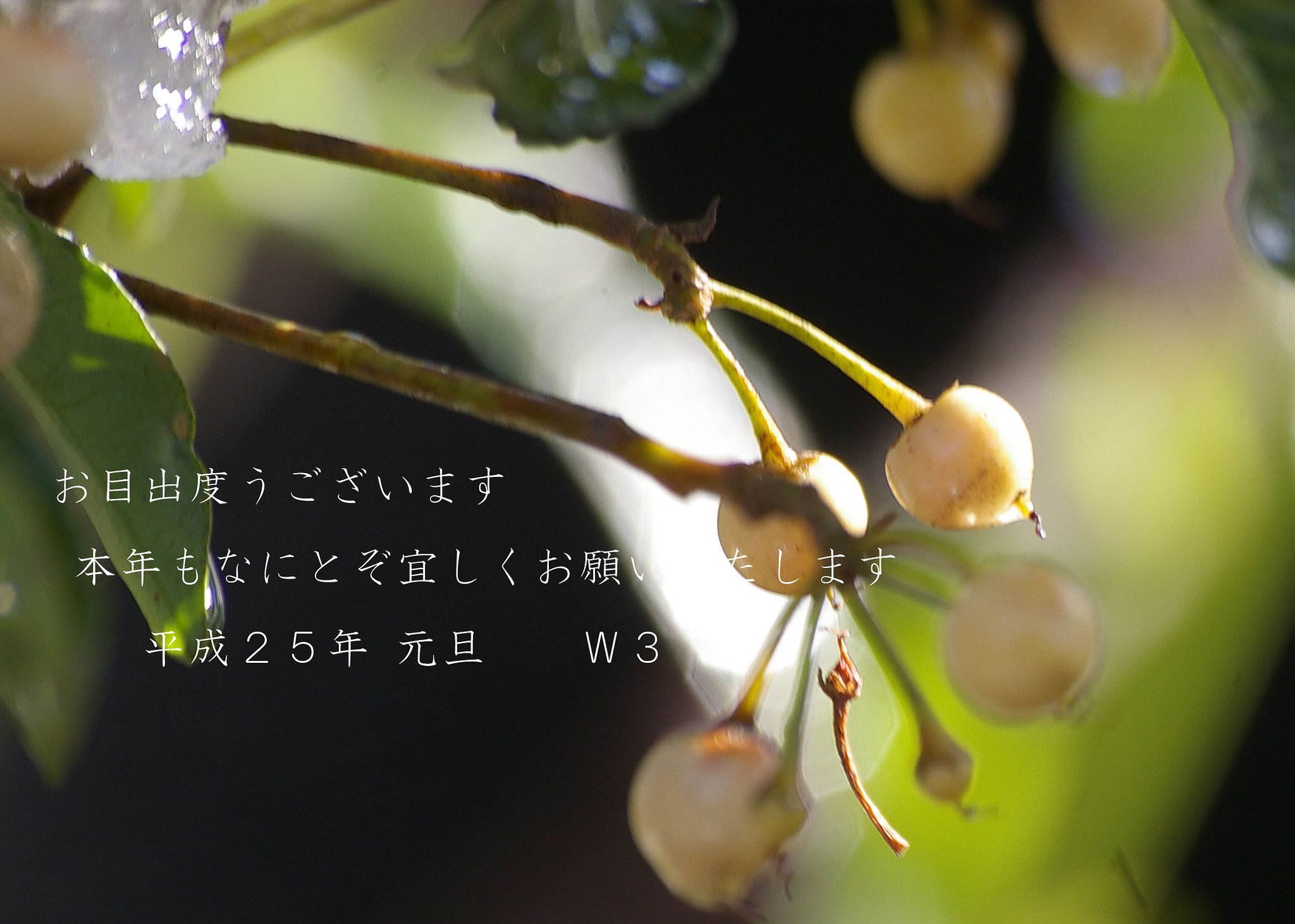 おめでとうございます