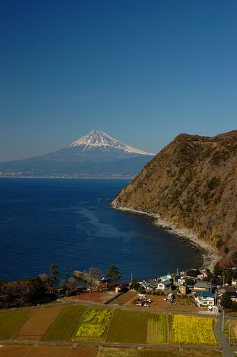 【春】煌きの丘にて