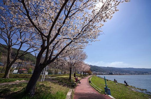 のどかな湖畔