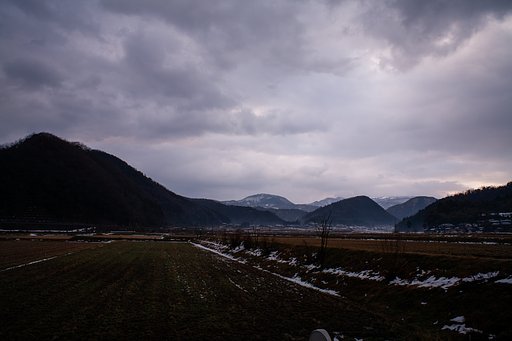 曇り空です・・。