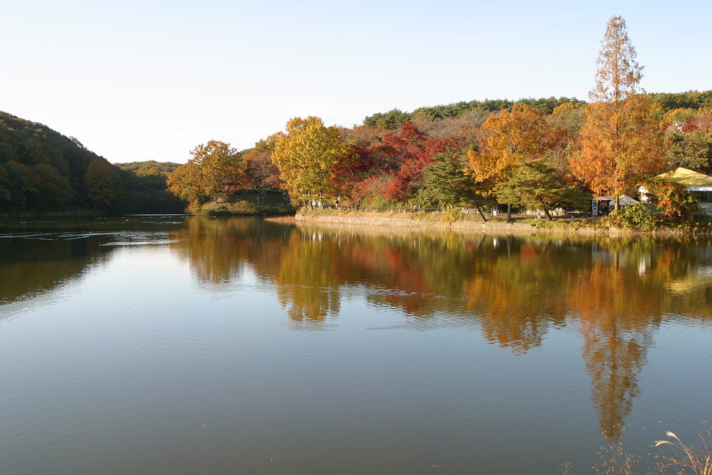 池の紅葉