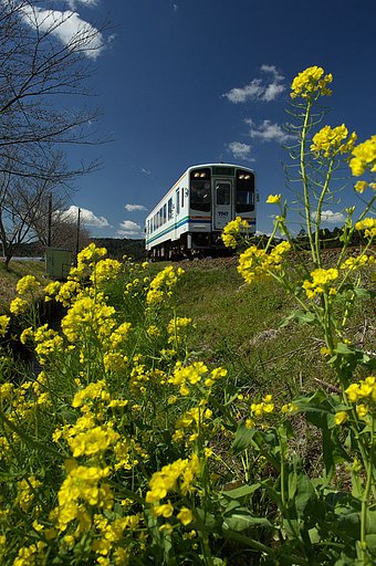 「春」青空と菜と鉄道と