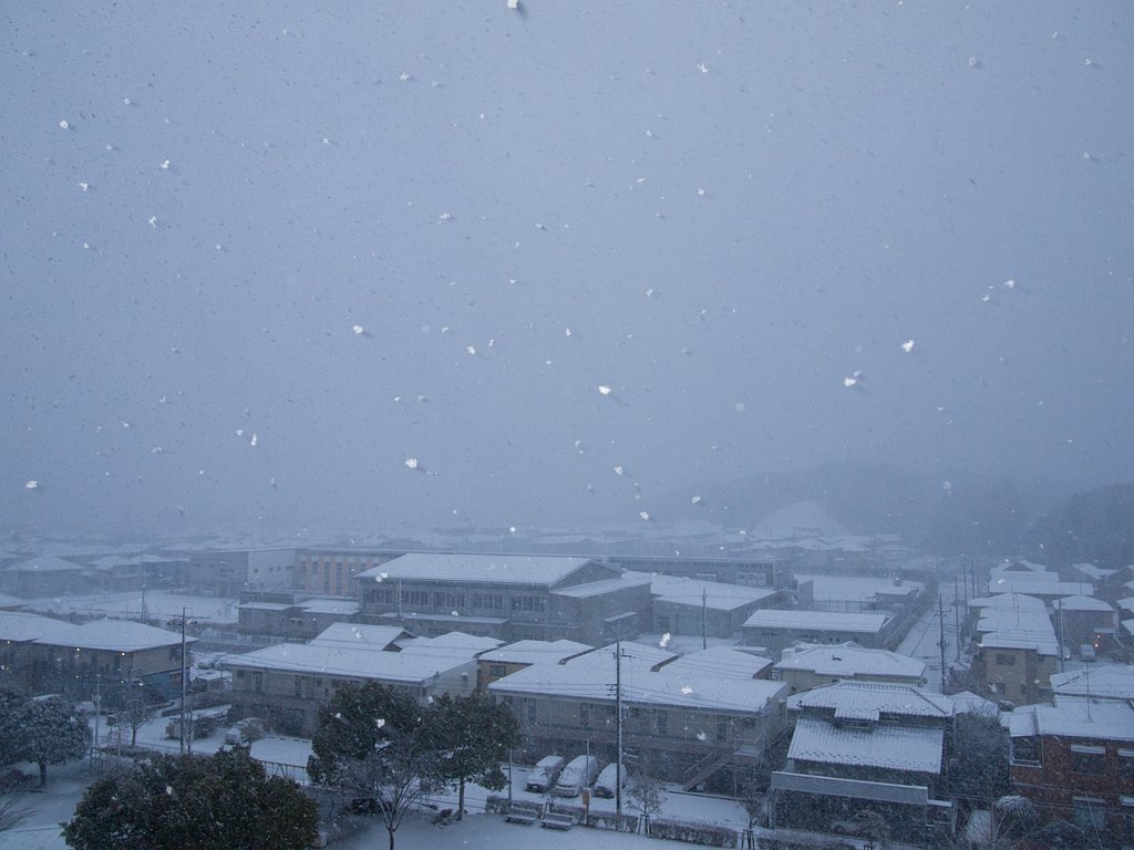 大雪注意報
