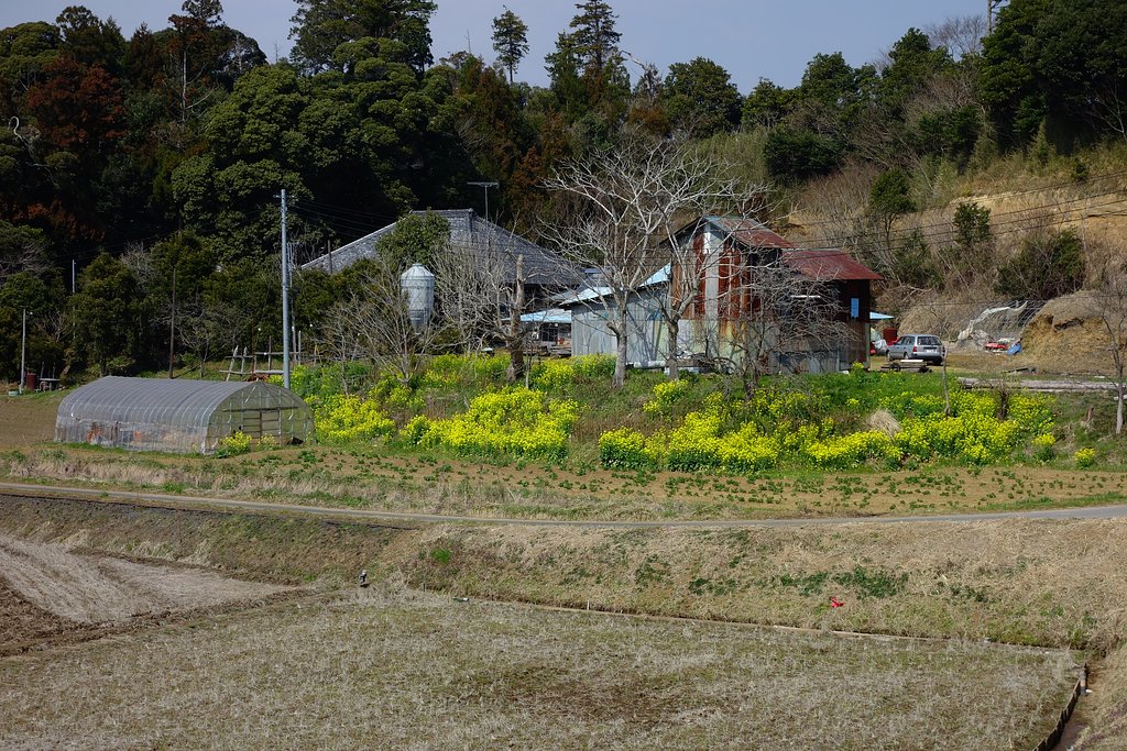 山あいの農家の風景