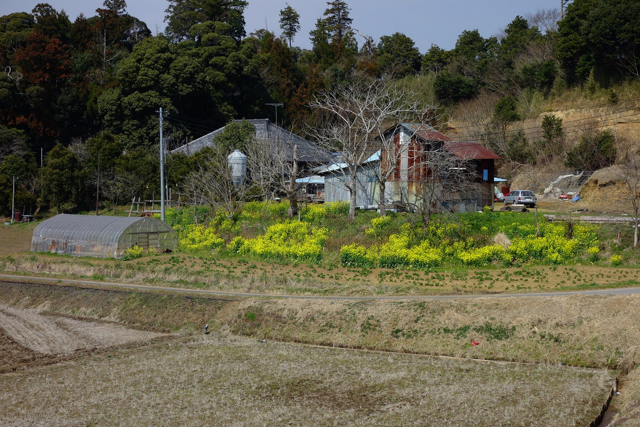 山あいの農家の風景
