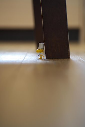 台所の神様