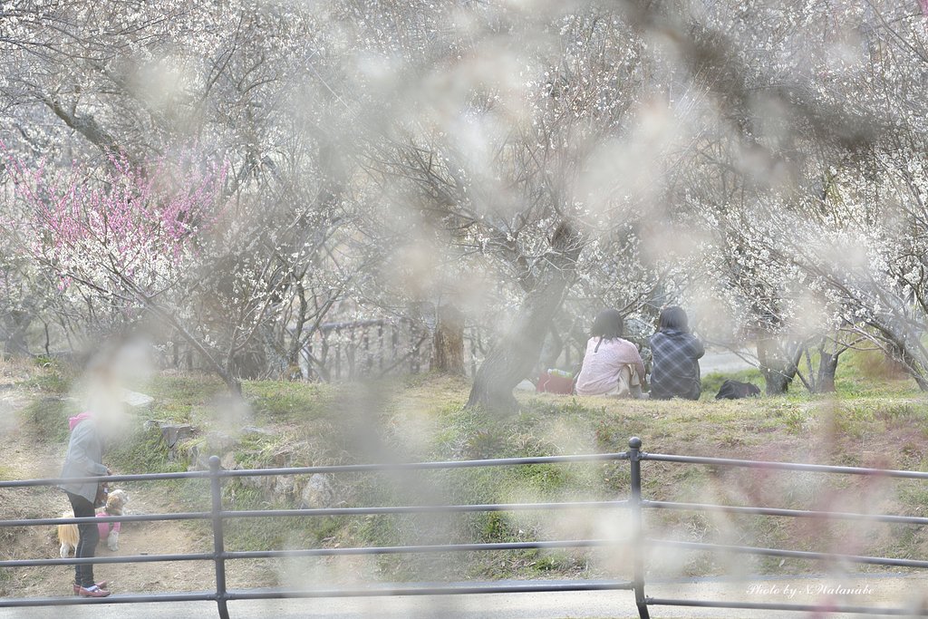 春色の空気に包まれて
