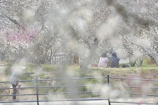 春色の空気に包まれて