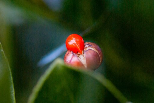 1月16日の写真