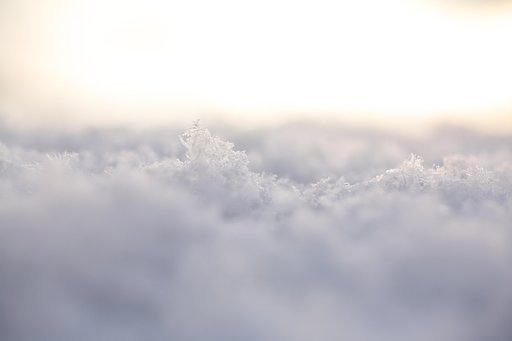 今朝の雪