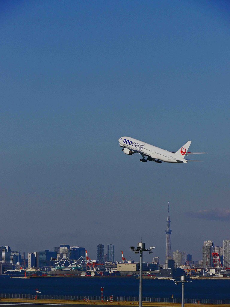 [ JAL・Ｏｎｅ　Ｗｏｒｌｄ　]