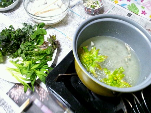 �ｻ鬥呻ｼｽ譏･縺ｮ螻ｱ闖�