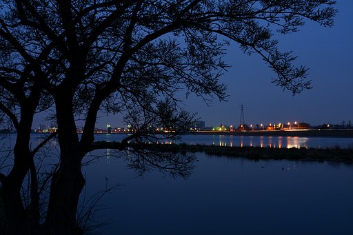 曇天の夜明け