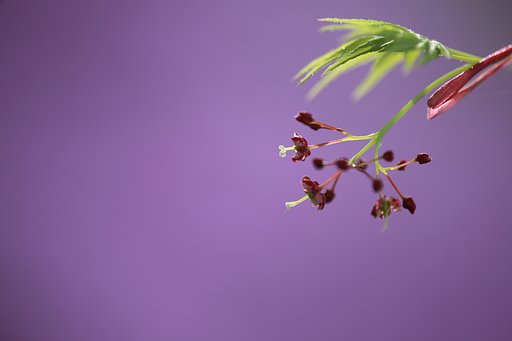 目覚め