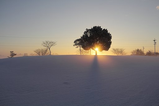 朝日燦燦