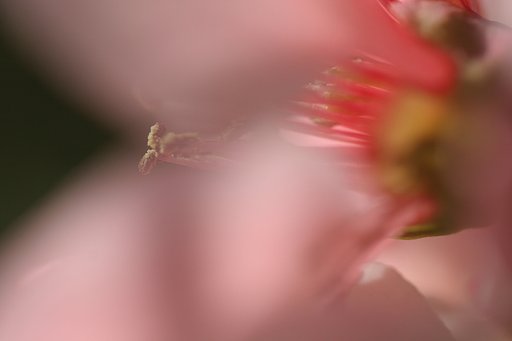 春の空気も・・・