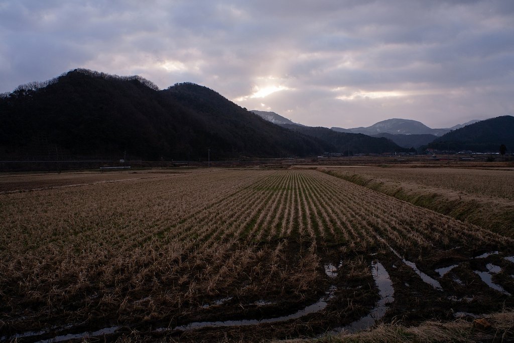 雲の間から朝日の出・。