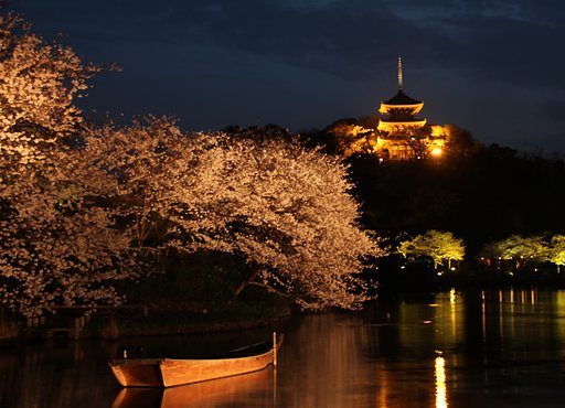 夜桜見物