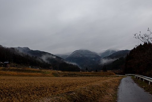 奥山は雪・・。