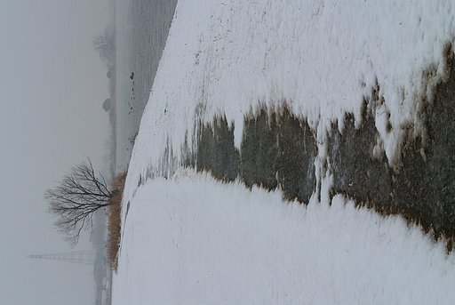 定点雪景色