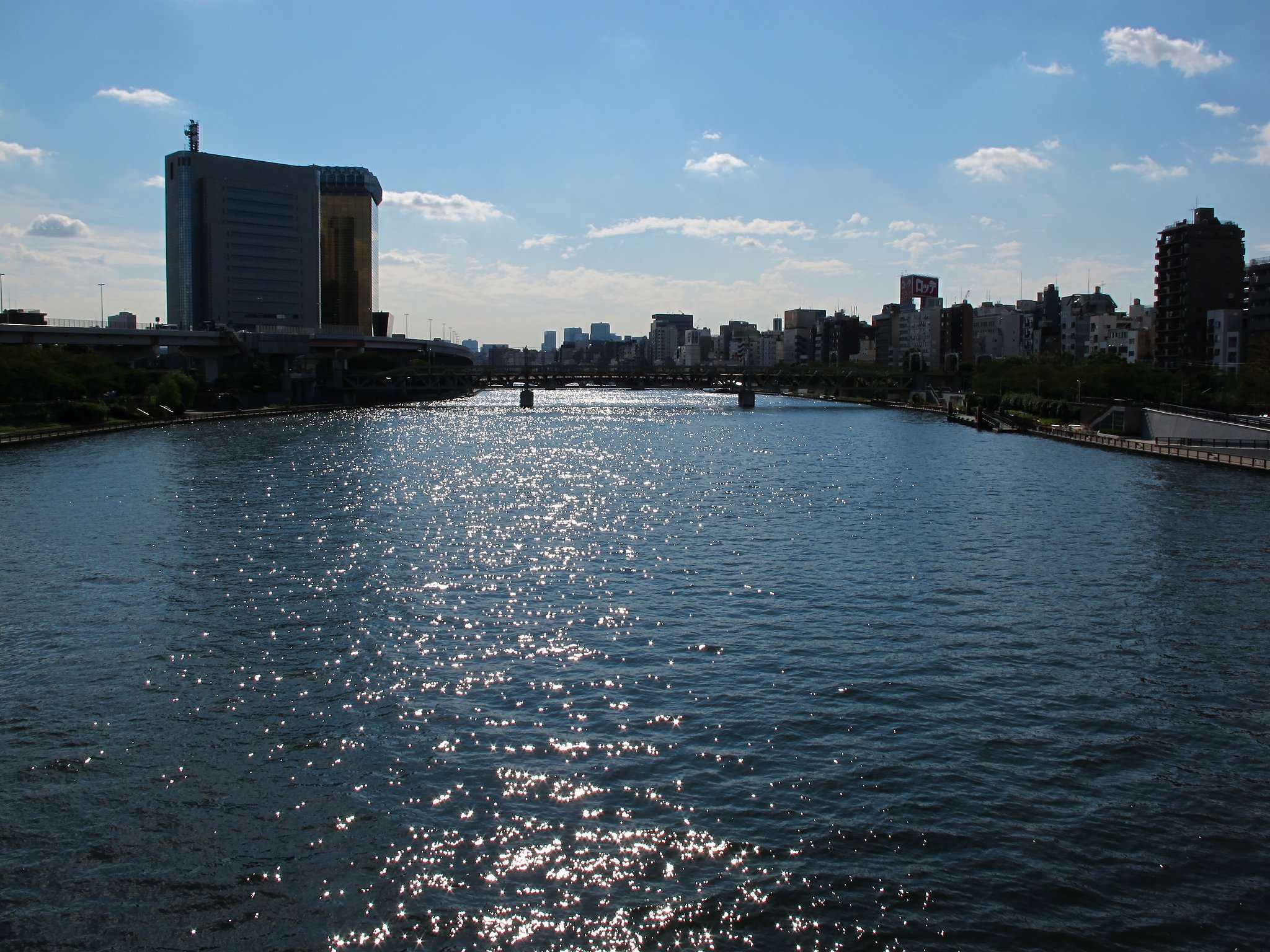 昼下がりの隅田川