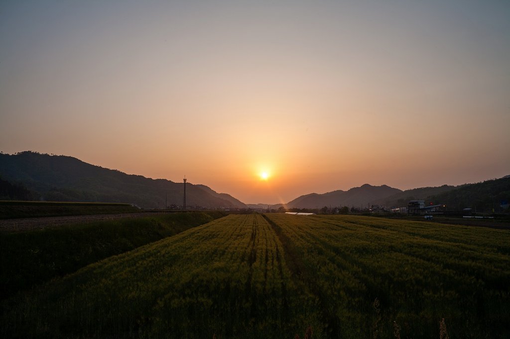 今日も夕焼けが・・。