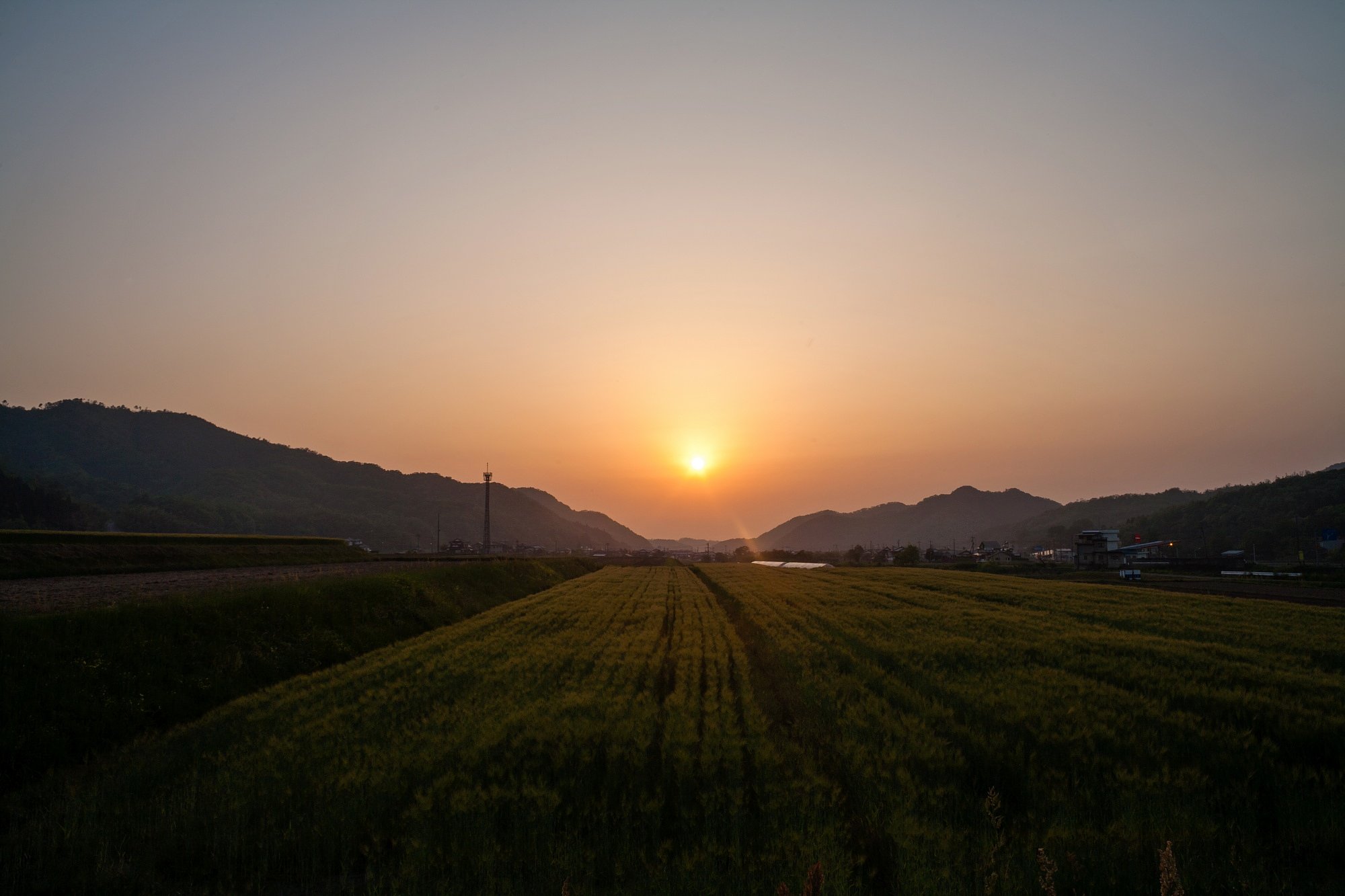 今日も夕焼けが・・。