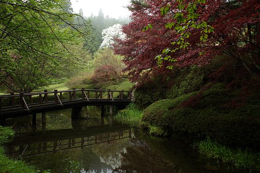 辛夷咲かす山霧