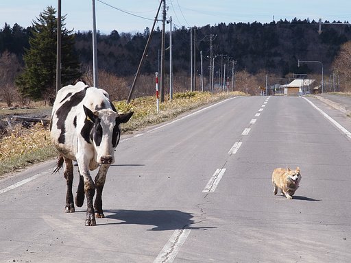 脱走兵と鬼軍曹