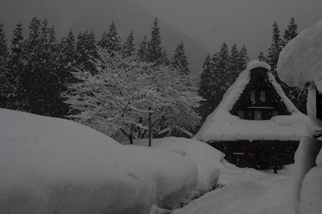 五箇山の豪雪