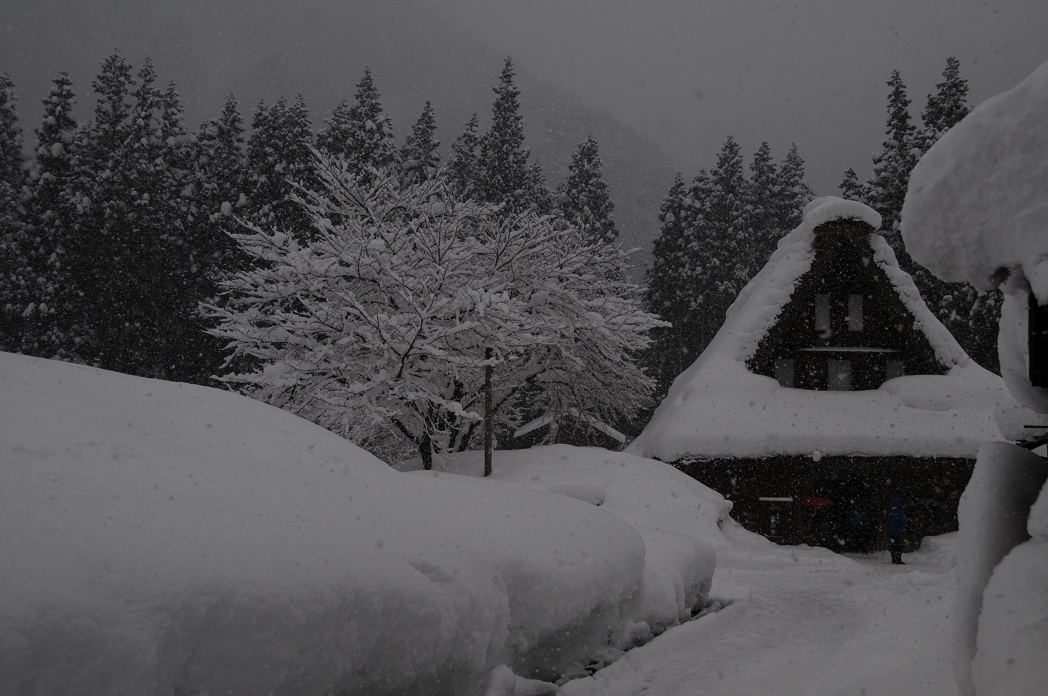 五箇山の豪雪