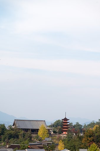 宮島４３