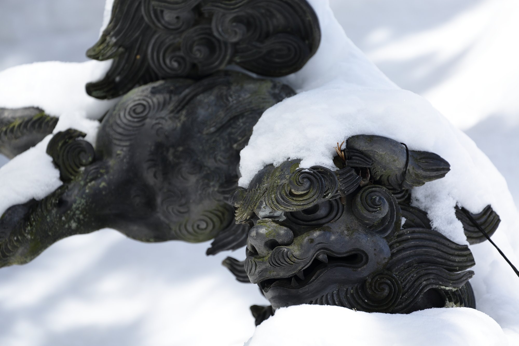埋もれる獅子
