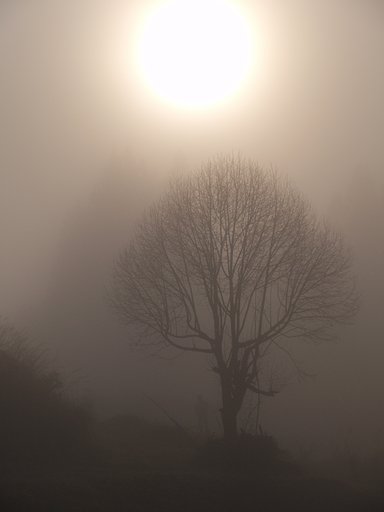 朧