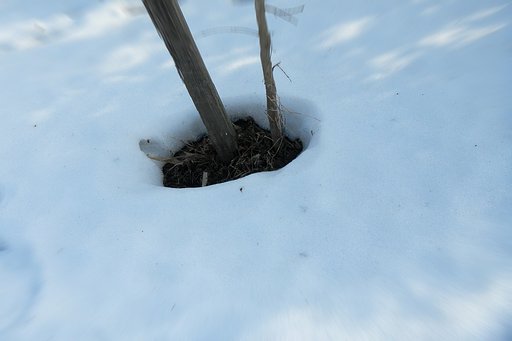 【春よ〜♪】雪解け〜♪