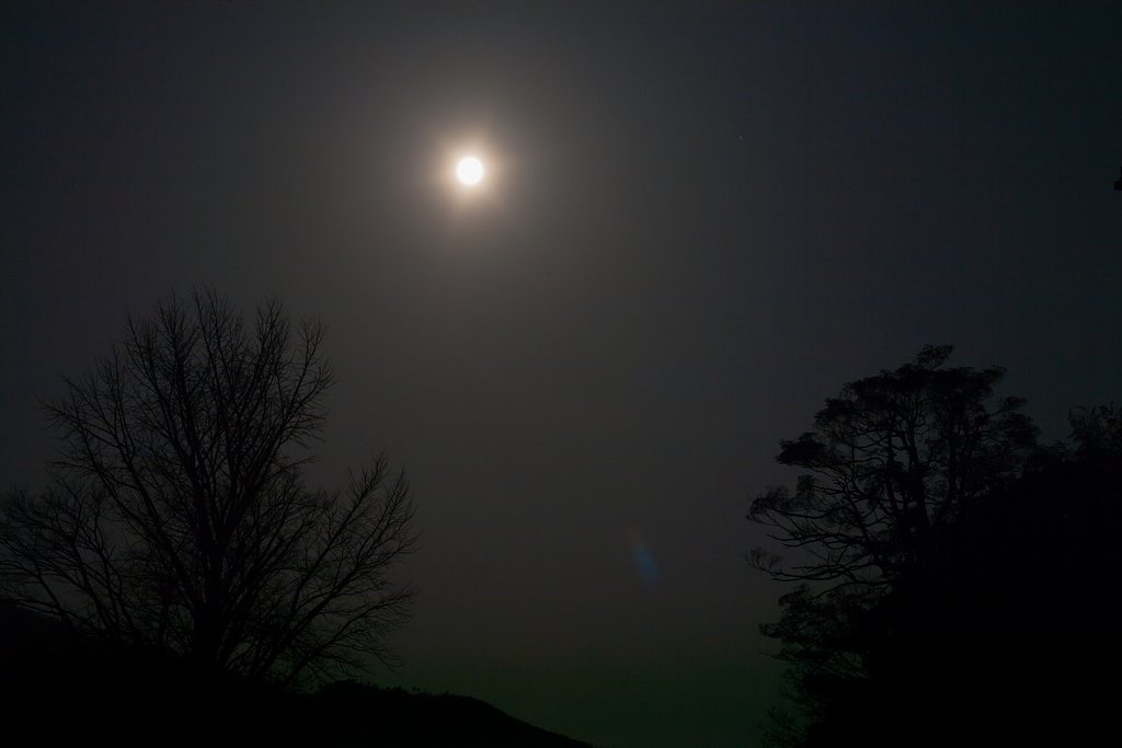 満月？の夜。