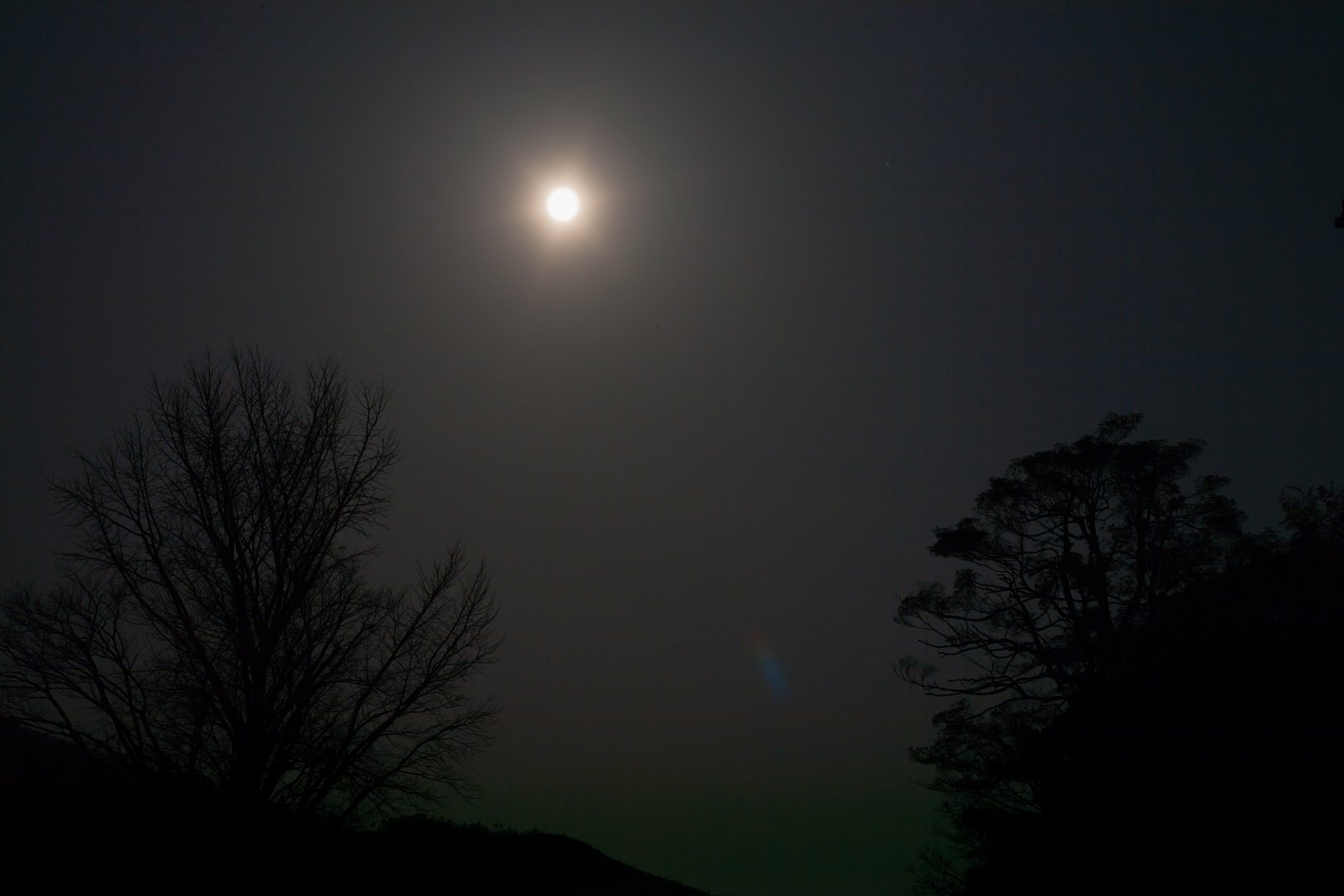 満月？の夜。