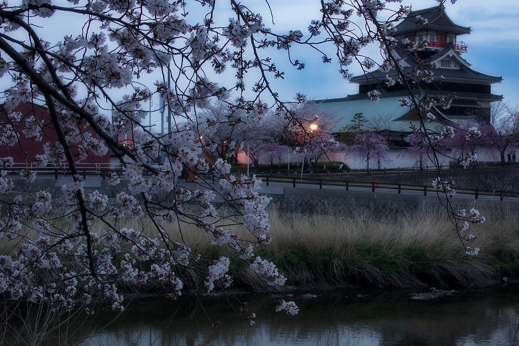 桜【香】る