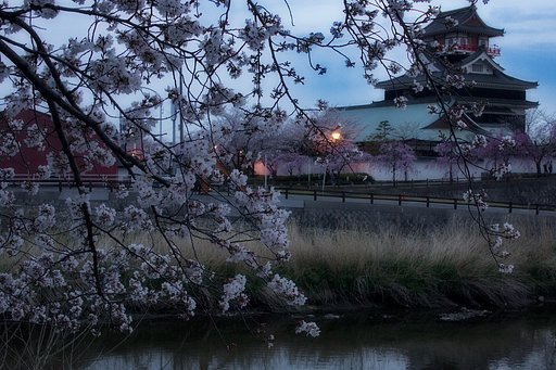 桜【香】る