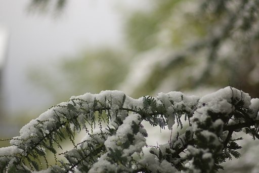 初・現像