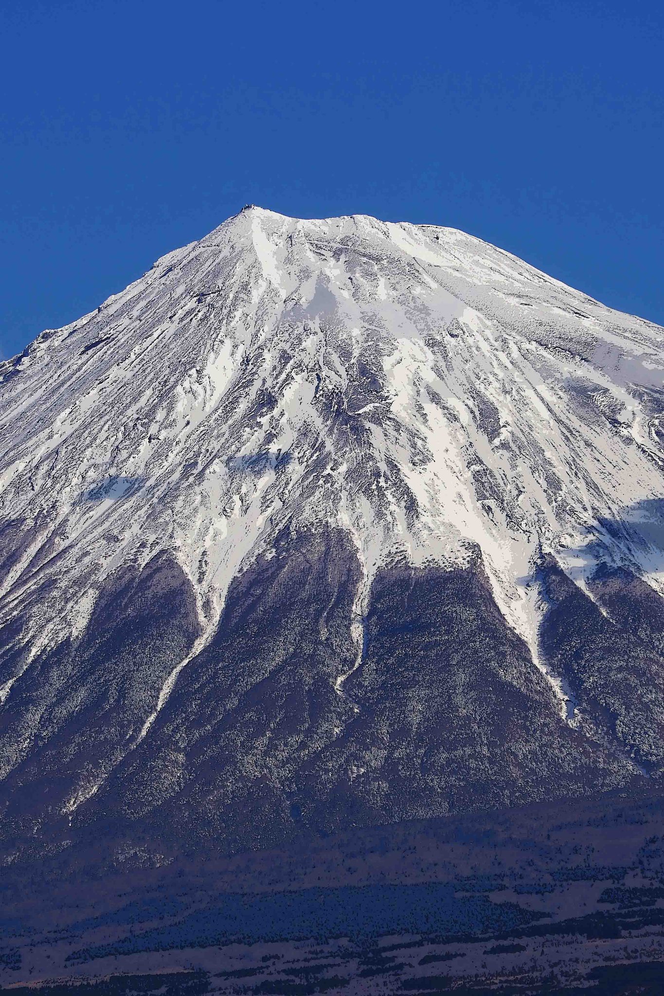 ［Ｍｔ　Ｆｕｊｉ］