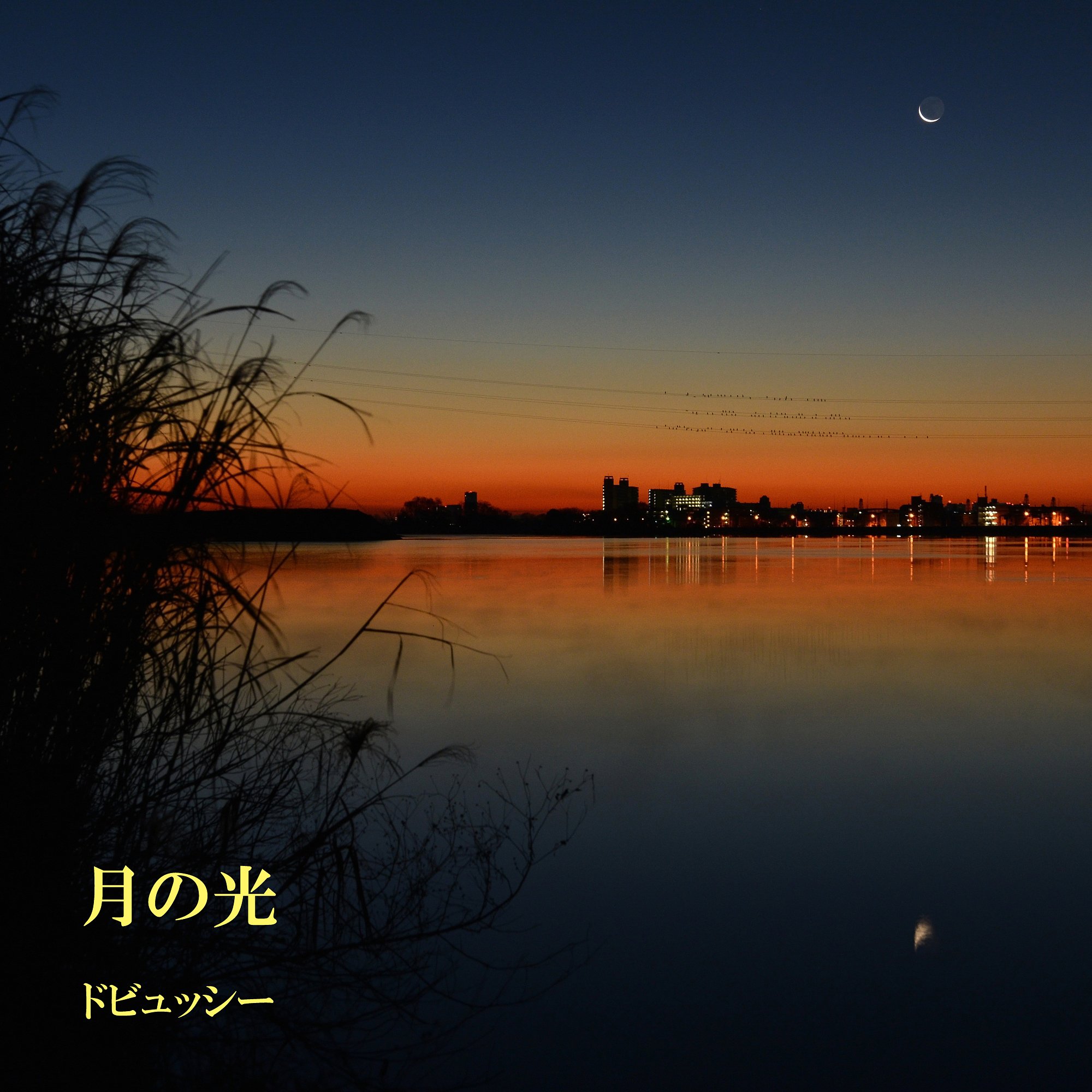 【第2回 この一曲】月の光