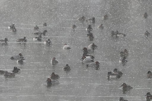 吹雪の中で