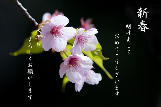 新年